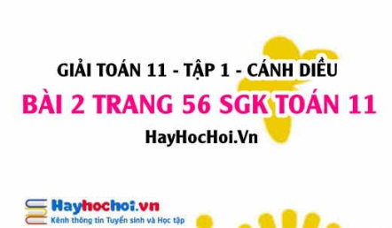 Giải bài 2 trang 56 Toán 11 tập 1 SGK Cánh Diều